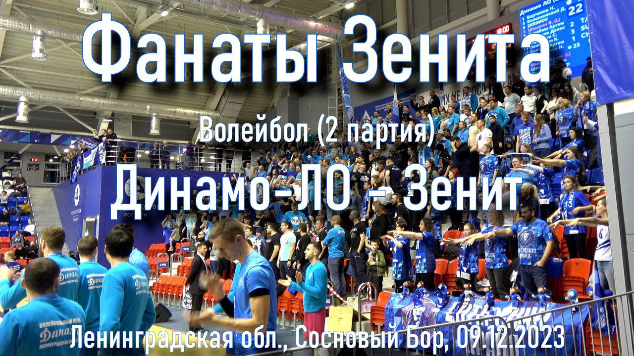 Поддержка на волейболе во 2 партии "Динамо-ЛО"-"Зенит" 09.12.2023. смотреть онлайн