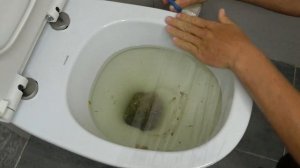 Как устранить ЗАСОР в унитазе! Лайфхак! Как прочистить Унитаз!