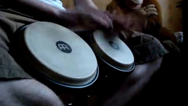 Bongo смотреть онлайн