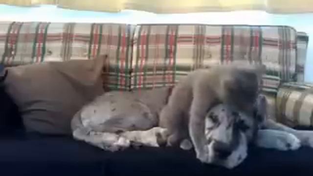 Терпение это главная составляющая любви смотреть онлайн