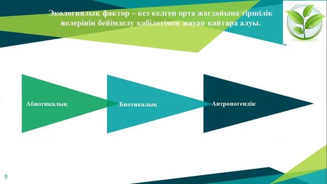 Есік гуманитарлық-экономикалық колледжі.Нуркиясова Э.Экология негіздері. смотреть онлайн