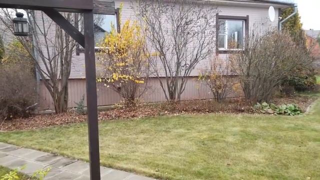 Обзор сада ландшафтного дизайнера Натальи Мягковой. Профессионал раскрывает секреты!!! смотреть онлайн