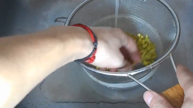 Как прорастить маш без трудностей за 2-3 дня смотреть онлайн