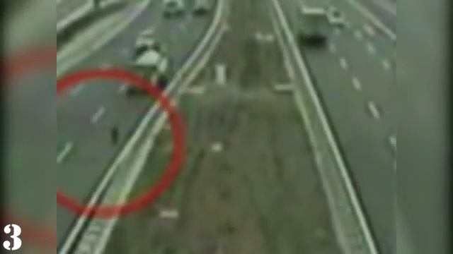 Животные-альтруисты смотреть онлайн