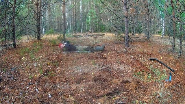 Строительство ЗЕМЛЯНКИ в ЛЕСУ СВОИМИ РУКАМИ! Строю ОДИН ЗЕМЛЯНКУ Bushcraft смотреть онлайн
