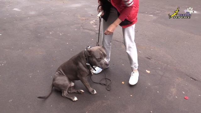 Обучение держать палку, неправильно и потом правильно, с результатом, Арон смотреть онлайн