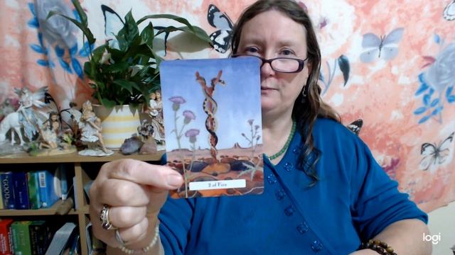 THE WITCHES WISDOM TAROT review and walkthrough смотреть онлайн