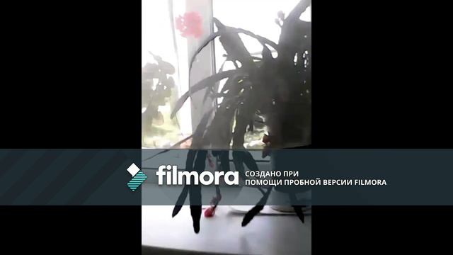 Я пою песню! * УЛЫБАЙСЯ* смотреть онлайн