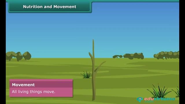 Characteristics of Living Organisms | Class 6 | Science | CBSE | ICSE | FREE Tutorial смотреть онлайн