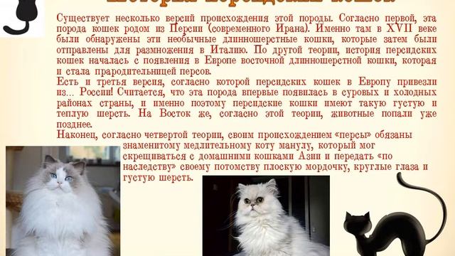 Всё о кошках и котах смотреть онлайн