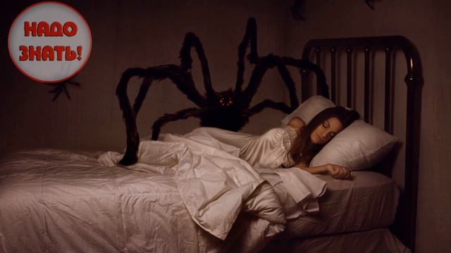 Почему снятся кошмары?