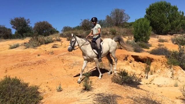Horse-riding in Doñana, Andalusia смотреть онлайн