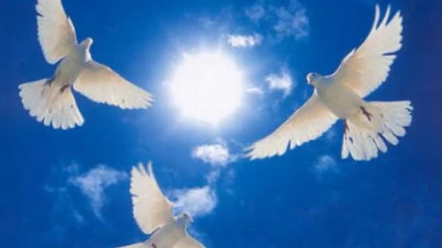 Листопад смотреть онлайн