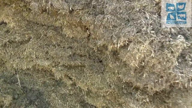 Люцерновый силос смотреть онлайн