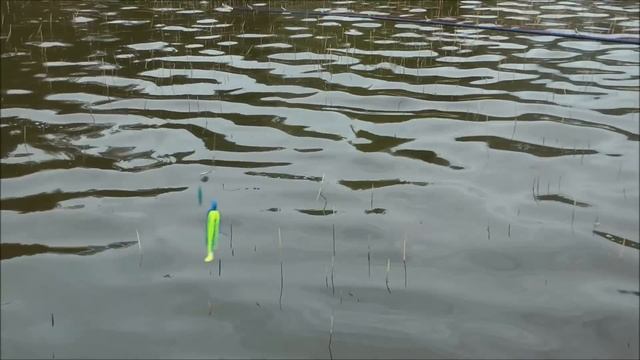 Техника ловли на щучий Спиннербейт и Чаттербейт. Spinnerbaits & Chatterbaits Esox Custom Tackle смотреть онлайн