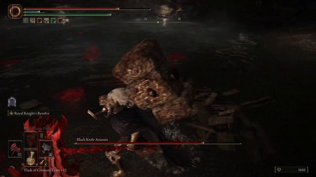 Elden Ring - Black Knife Assassin Boss Fight #3 смотреть онлайн