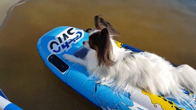 24 ЧАСА с ЮКИ! Веселый ЮКИ вспоминает Лето! смотреть онлайн