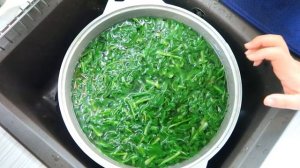 Салат из Одуванчиков  Как Приготовить Полезный Весенний Корейский Салат за 0 рублей