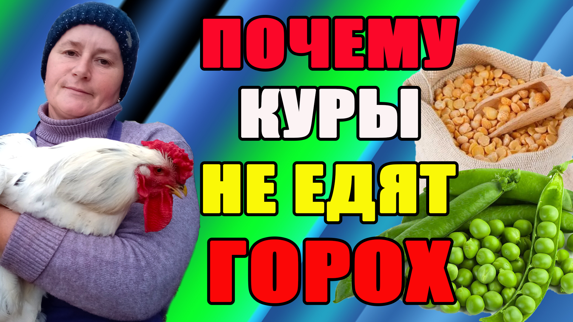 Почему куры не едят горох? смотреть онлайн