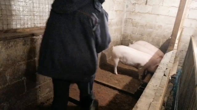 Какие шторы выбрать? смотреть онлайн