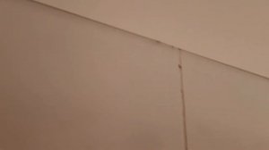 Потолок из пластиковых панелей. Как просто заменить старый на новый.