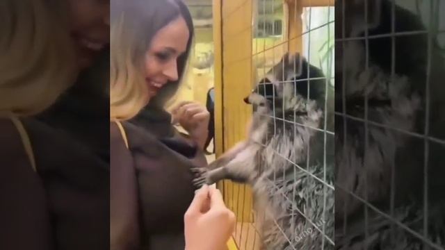 мужик! смотреть онлайн