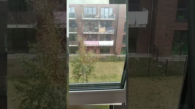 В Германии звучит сирена!?? смотреть онлайн