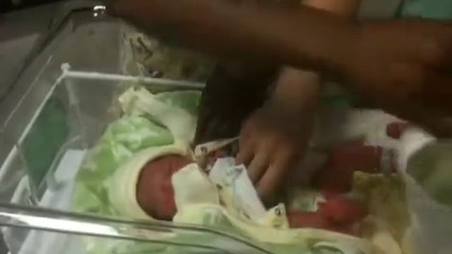 Aryan born смотреть онлайн