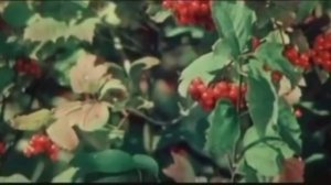 На горе колхоз.народная песня Г.Погорельская вар 2014г.mp4