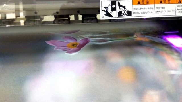 Печать на холсте принтером FUJIFILM Acuity LED 1600 смотреть онлайн