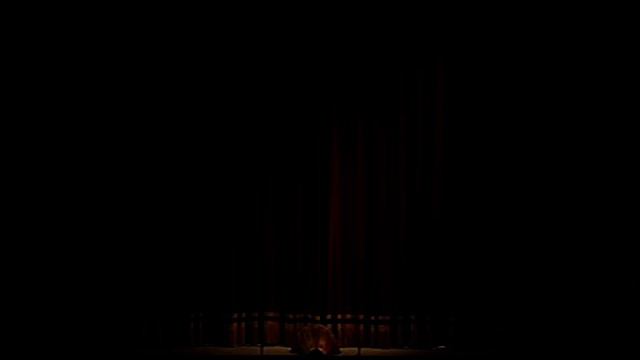 Vasile Chisiu - Simon Boccanegra. G.Verdi Baritone - Part. 3 смотреть онлайн
