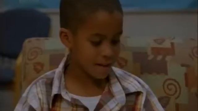 Кавашон (Cavachon). Породы собак (Dog Breed) смотреть онлайн