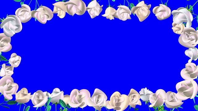 Футаж Белые Розы. Свадебные Рамки. Белые Розы на Хромакее. Свадебная Рамка из Роз смотреть онлайн
