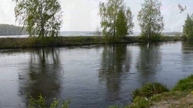 РЕФТИНСКИЙ 11 МАЯ. СТАНЦИЯ ГРЭС. ПРИРОДА. МУЗЫКА.#музыка #рефтинский #свердловскаяобласть смотреть онлайн