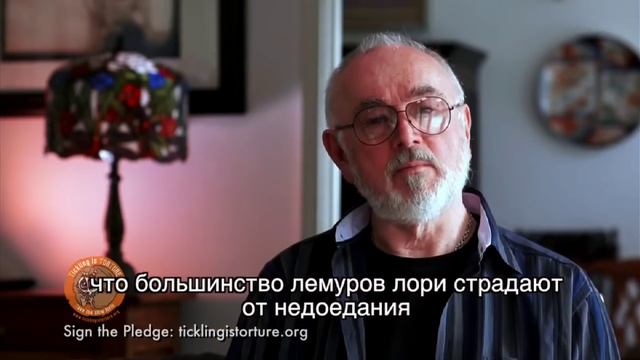 Лемуры. Мы можем закончить их страдания! Вся правда! смотреть онлайн