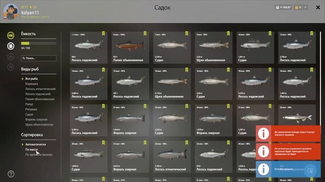 НЕПЛОХОЙ ФАРМ НА ЛАДОЖСКОМ АРХИПЕЛАГЕ РЯДОМ С БАЗОЙ! РУССКАЯ РЫБАЛКА 4 РР4 смотреть онлайн