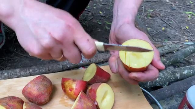 ШАШЛЫК ИЗ ЛОСЯТИНЫ / УДИВИ СОСЕДА ПО ДАЧЕ смотреть онлайн
