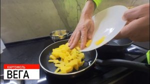 ЖАРЕННАЯ и ВАРЕННАЯ картошка. Какой сорт вкуснее...ВЕГА или ГАЛА???