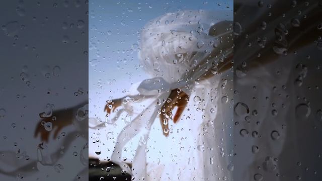 Эдуард Асадов «Она вошла совсем седая». смотреть онлайн