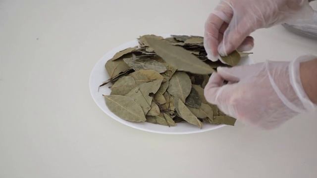 Лавровый лист смотреть онлайн