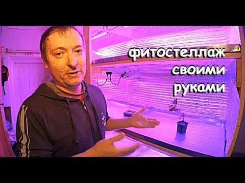 ДЕЛАЮ СТЕЛЛАЖ ДЛЯ РАССАДЫ, КОТОРЫЙ ПРИНЕСЁТ 200000 РУБЛЕЙ. ПОДРОБНО О ФИТОЛАМПАХ. ВЫБОР ФИТОЛАМП. смотреть онлайн