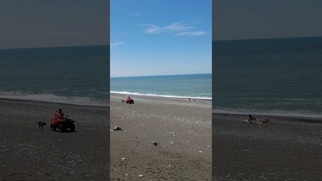 Грузия 2023. Пляжные собаки. смотреть онлайн