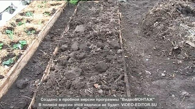 Поэтапное изготовление теплой грядки весной // Секреты хороших урожаев. смотреть онлайн