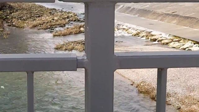 Река Donau в Германии | просто для души | Природа в Германии | немецкая река| как моя Мама | весна смотреть онлайн