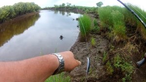 Флюрокарбон на кастинговой катушке. Щуки атакуют