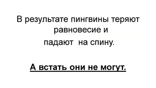 Необычная профессия переворачиватель пингвинов смотреть онлайн