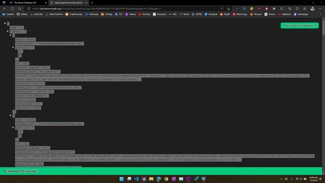 Create an JSON API Model quickly with Visual Studio смотреть онлайн