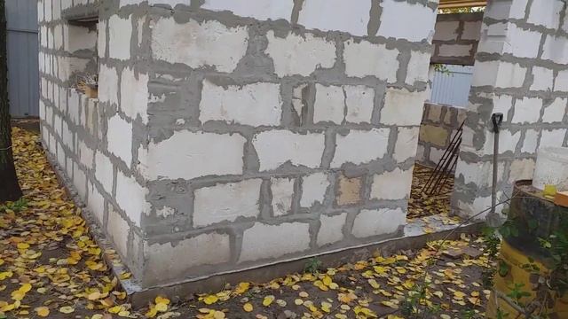 Новые условия для Кур породы Род Айленд. смотреть онлайн