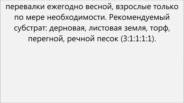 Хамелациум уход смотреть онлайн