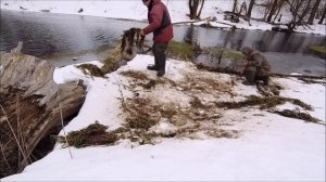 КАК быстро добыть РУЧЕЙНИКА